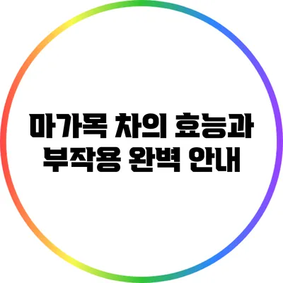 마가목 차의 효능과 부작용 완벽 안내