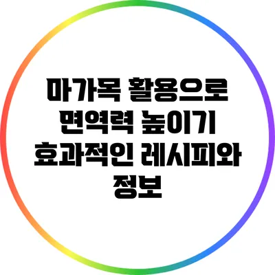 마가목 활용으로 면역력 높이기: 효과적인 레시피와 정보