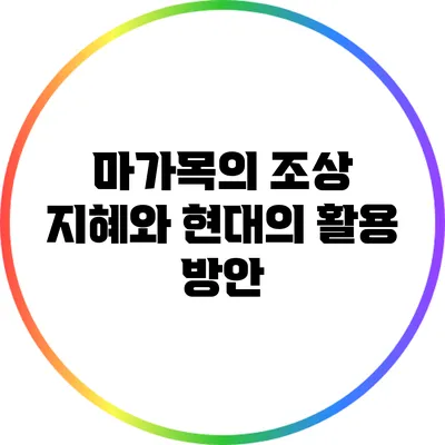 마가목의 조상 지혜와 현대의 활용 방안