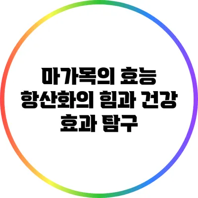 마가목의 효능: 항산화의 힘과 건강 효과 탐구