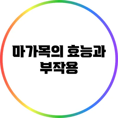 마가목의 효능과 부작용
