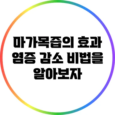 마가목즙의 효과: 염증 감소 비법을 알아보자