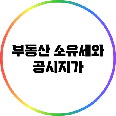 부동산 소유세와 공시지가