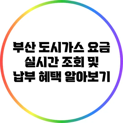 부산 도시가스 요금 실시간 조회 및 납부 혜택 알아보기