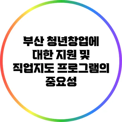 부산 청년창업에 대한 지원 및 직업지도 프로그램의 중요성