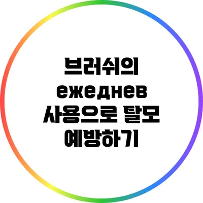브러쉬의 ежеднев 사용으로 탈모 예방하기