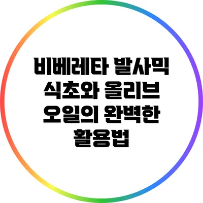 비베레타 발사믹 식초와 올리브 오일의 완벽한 활용법