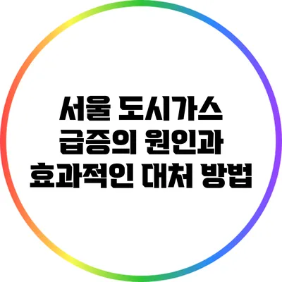 서울 도시가스 급증의 원인과 효과적인 대처 방법