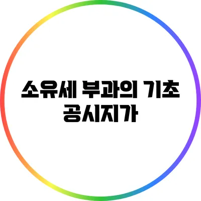 소유세 부과의 기초: 공시지가