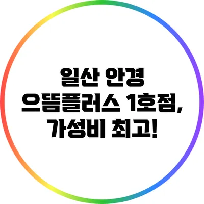 일산 안경 으뜸플러스 1호점, 가성비 최고!