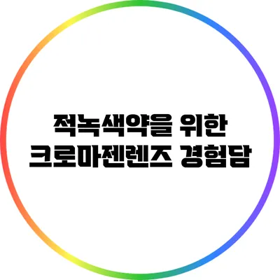 적녹색약을 위한 크로마젠렌즈 경험담