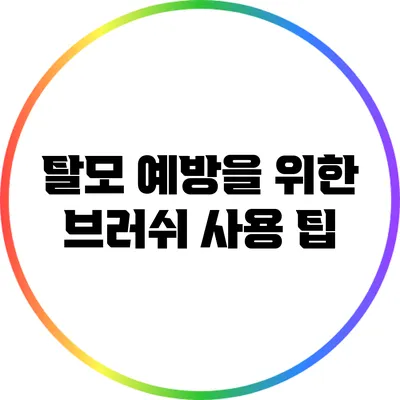 탈모 예방을 위한 브러쉬 사용 팁