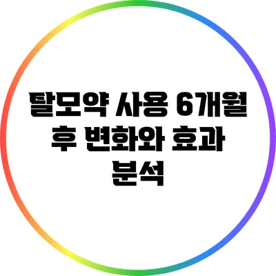탈모약 사용 6개월 후 변화와 효과 분석