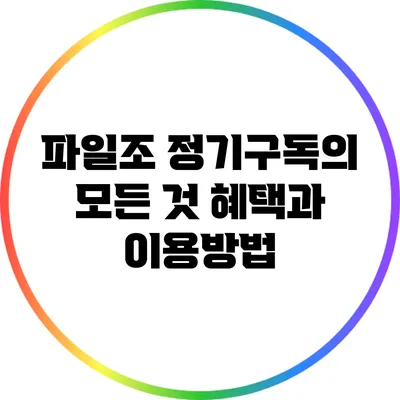 파일조 정기구독의 모든 것 혜택과 이용방법