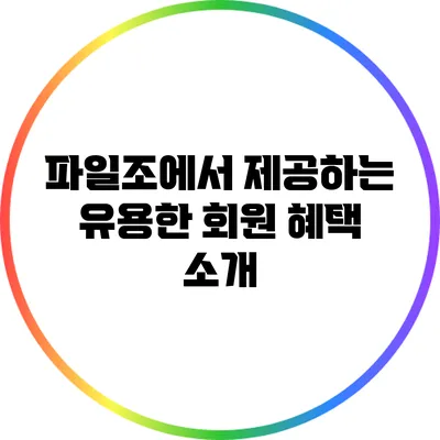 파일조에서 제공하는 유용한 회원 혜택 소개