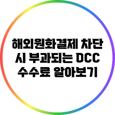 해외원화결제 차단 시 부과되는 DCC 수수료 알아보기