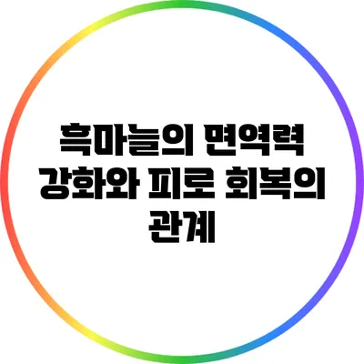 흑마늘의 면역력 강화와 피로 회복의 관계