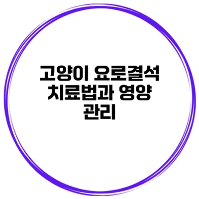 고양이 요로결석 치료법과 영양 관리