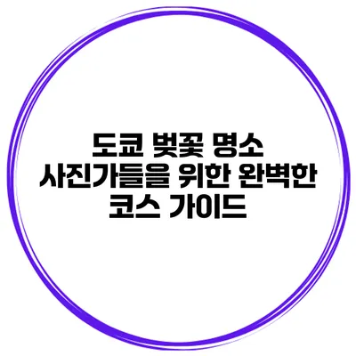 도쿄 벚꽃 명소 사진가들을 위한 완벽한 코스 가이드