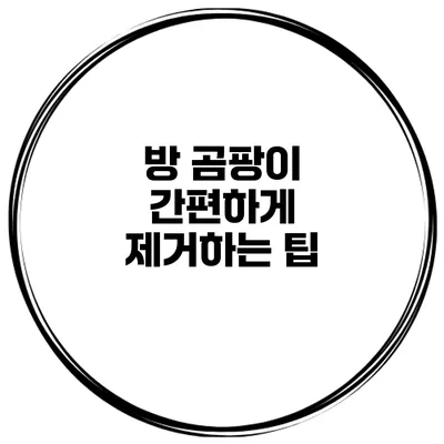 방 곰팡이 간편하게 제거하는 팁