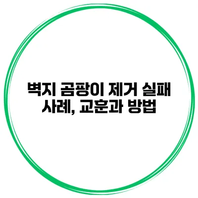 벽지 곰팡이 제거 실패 사례, 교훈과 방법
