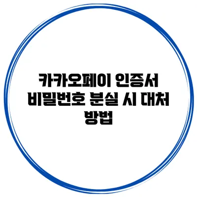 카카오페이 인증서 비밀번호 분실 시 대처 방법