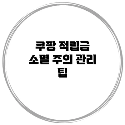 쿠팡 적립금 소멸 주의 관리 팁