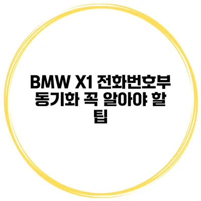 BMW X1 전화번호부 동기화 꼭 알아야 할 팁