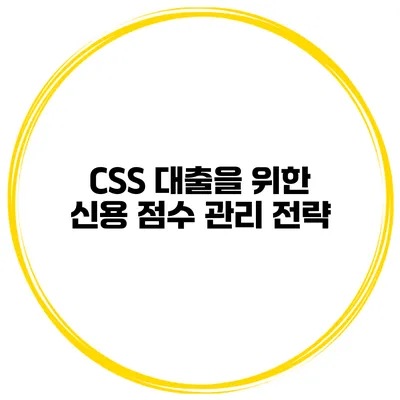 CSS 대출을 위한 신용 점수 관리 전략