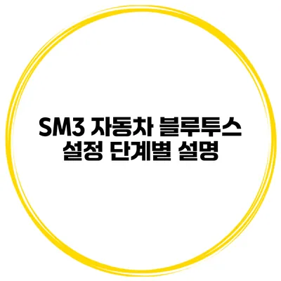 SM3 자동차 블루투스 설정 단계별 설명