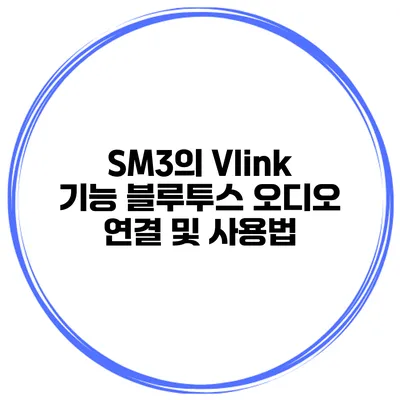 SM3의 Vlink 기능 블루투스 오디오 연결 및 사용법