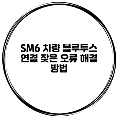 SM6 차량 블루투스 연결 잦은 오류 해결 방법