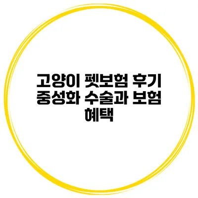 고양이 펫보험 후기 중성화 수술과 보험 혜택