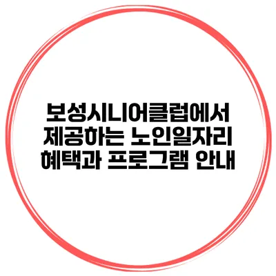 보성시니어클럽에서 제공하는 노인일자리 혜택과 프로그램 안내