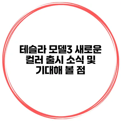 테슬라 모델3 새로운 컬러 출시 소식 및 기대해 볼 점