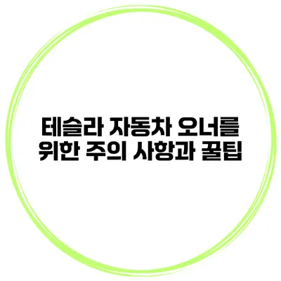 테슬라 자동차 오너를 위한 주의 사항과 꿀팁